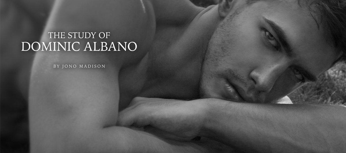 Available Now: The Study of Dominic Albano by Jono Madison